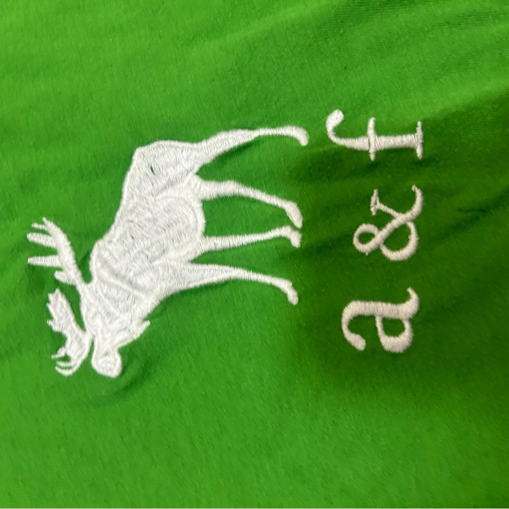 Abercrombie & Fitch Green Short Sleeve Tee - Picture 3 of 5